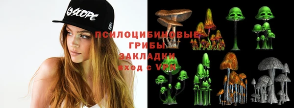дмт Бугульма